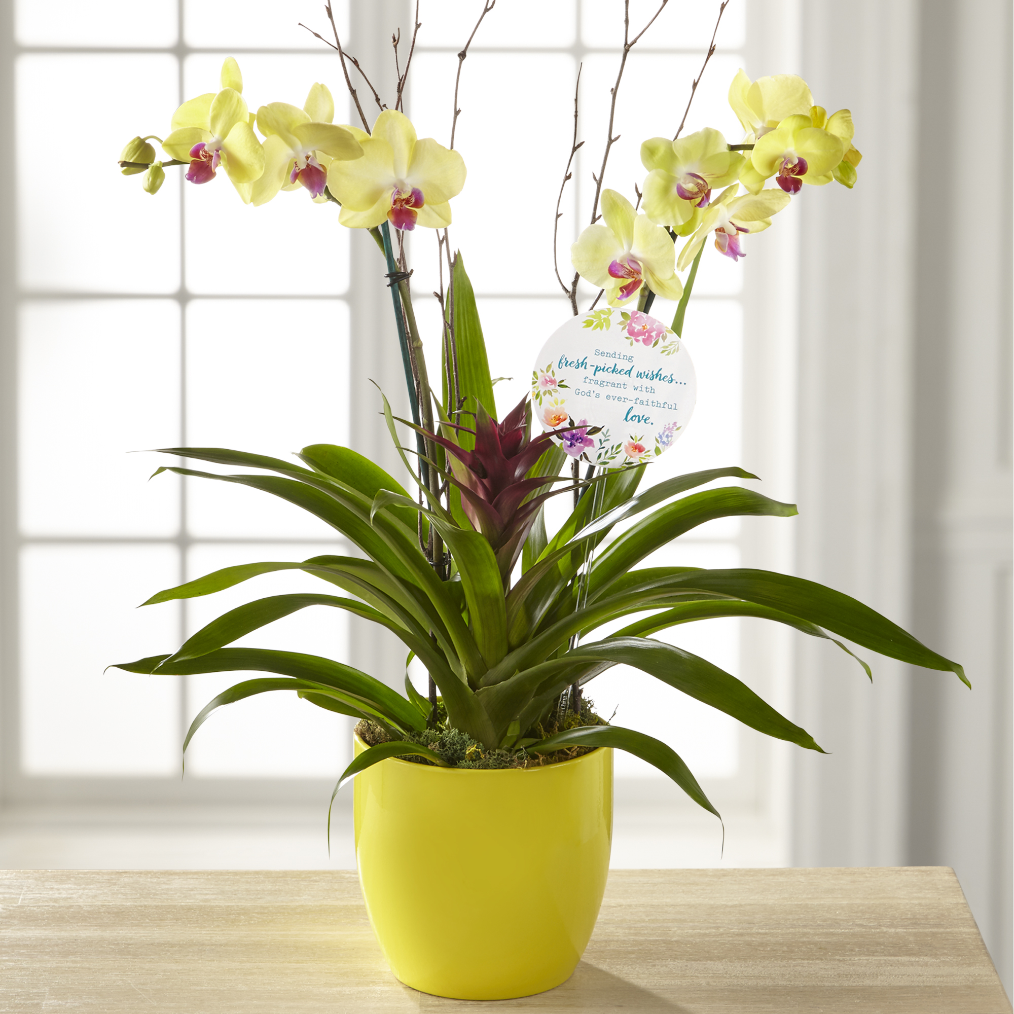 FTD+DaySpring+Mothers+Day+Gift