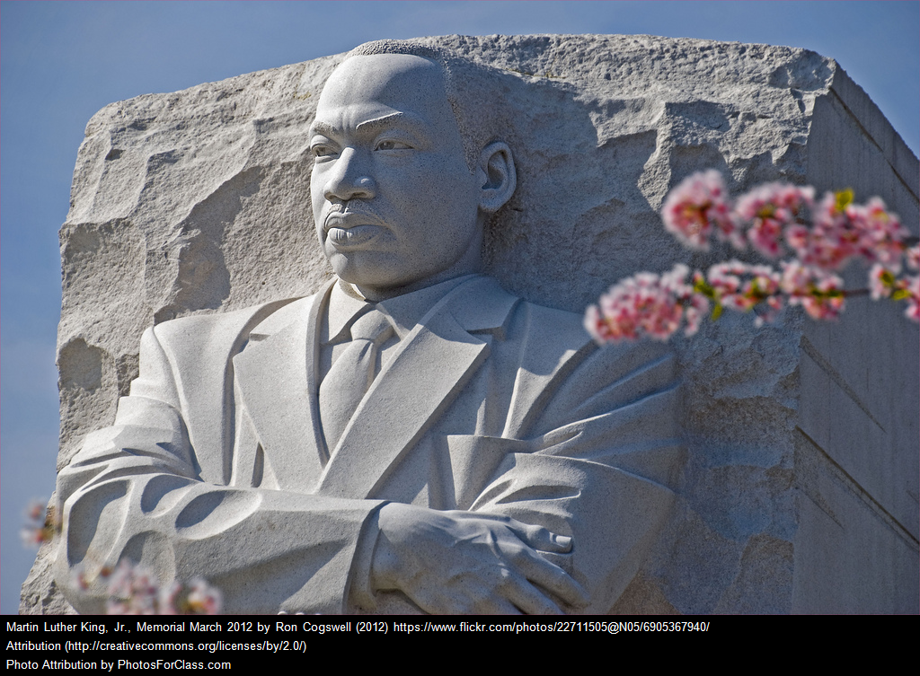 MLK Day Bay Area Activities