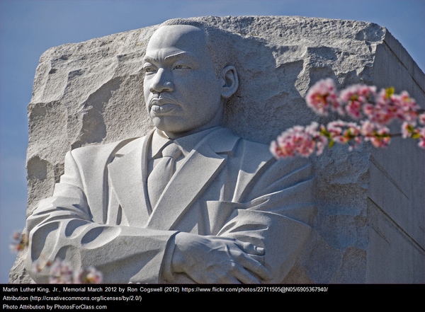 MLK Day Bay Area Activities